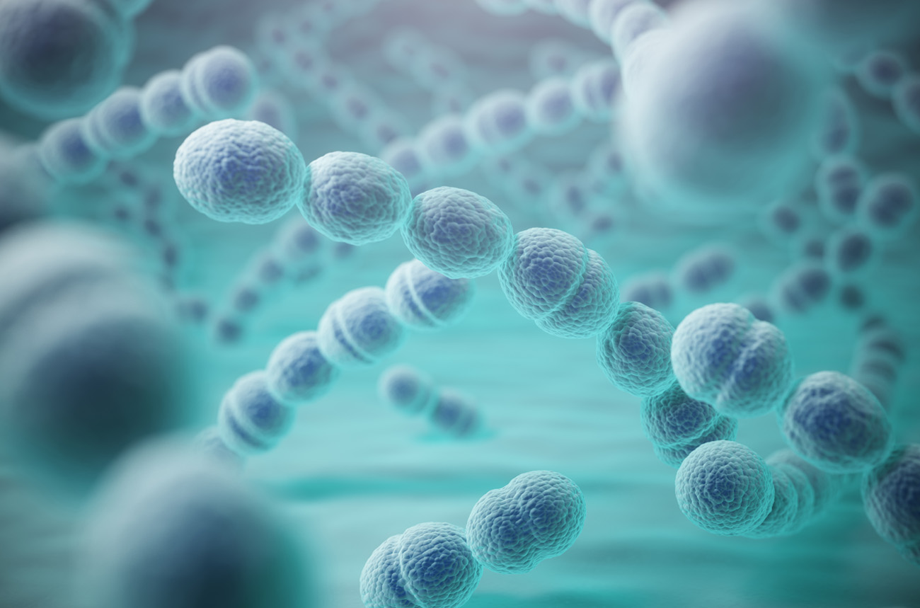 AR Vaccin Pfizer - Apexxnar
