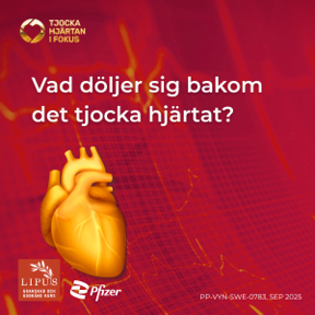 LIPUS Tjocka hjärtan