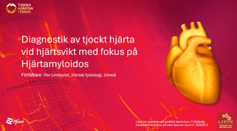 Lipus dag 2