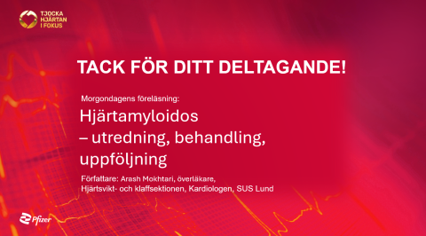 Morgondagens föreläsning - dag 2