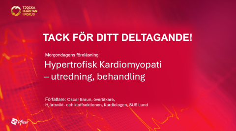 Morgondagens föreläsning - dag 3