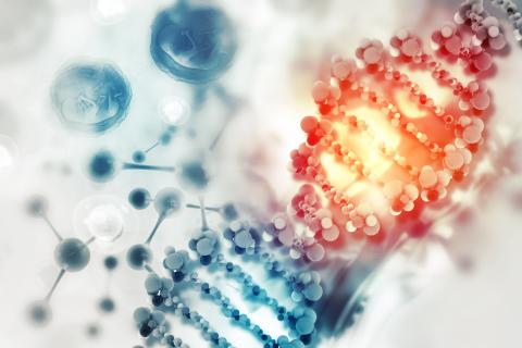 dna